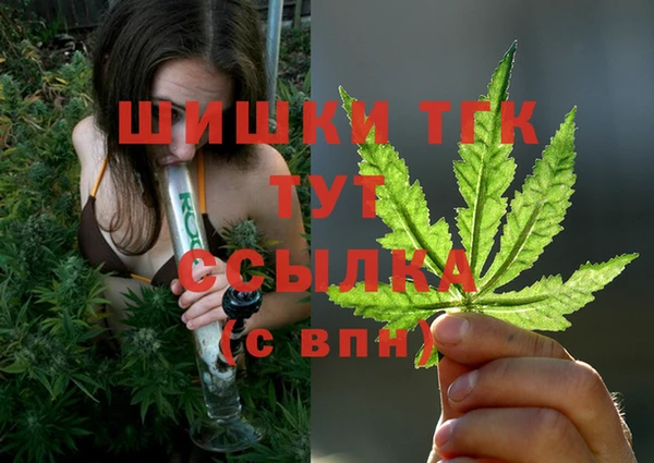 крисы Михайловка