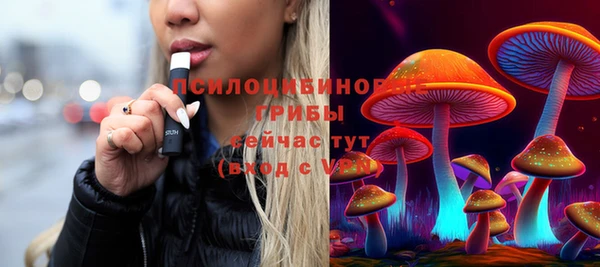 стафф Михайловск