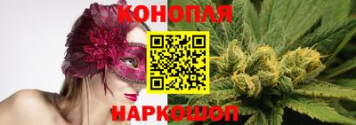 шишки Донской