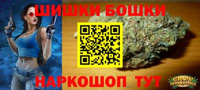 шишки Донской