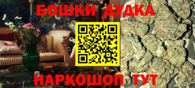 МДПВ Дубна
