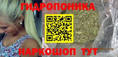 МДПВ Дубна