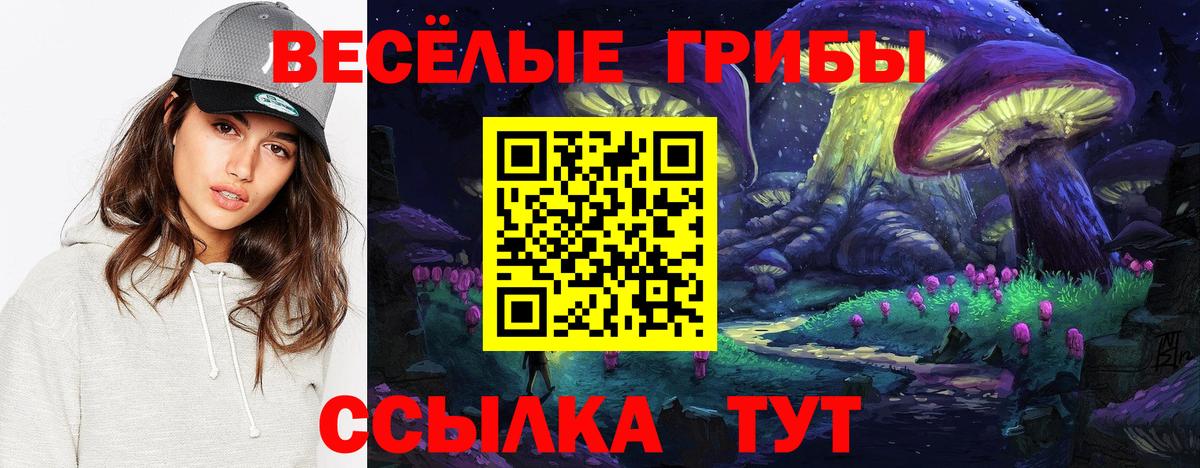 Галлюциногенные грибы Psilocybine cubensis  Псилоцибиновые грибы мухоморы  Нарткала  Вход с VPN 